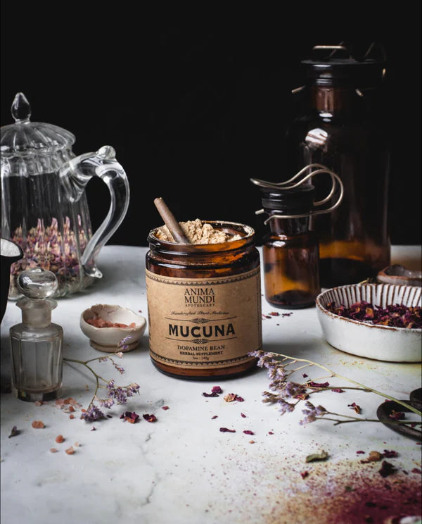 Mucuna-The Dopamine Bean