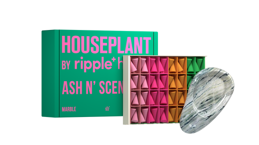 Houseplant by ripple⁺ Ash & Scent Set