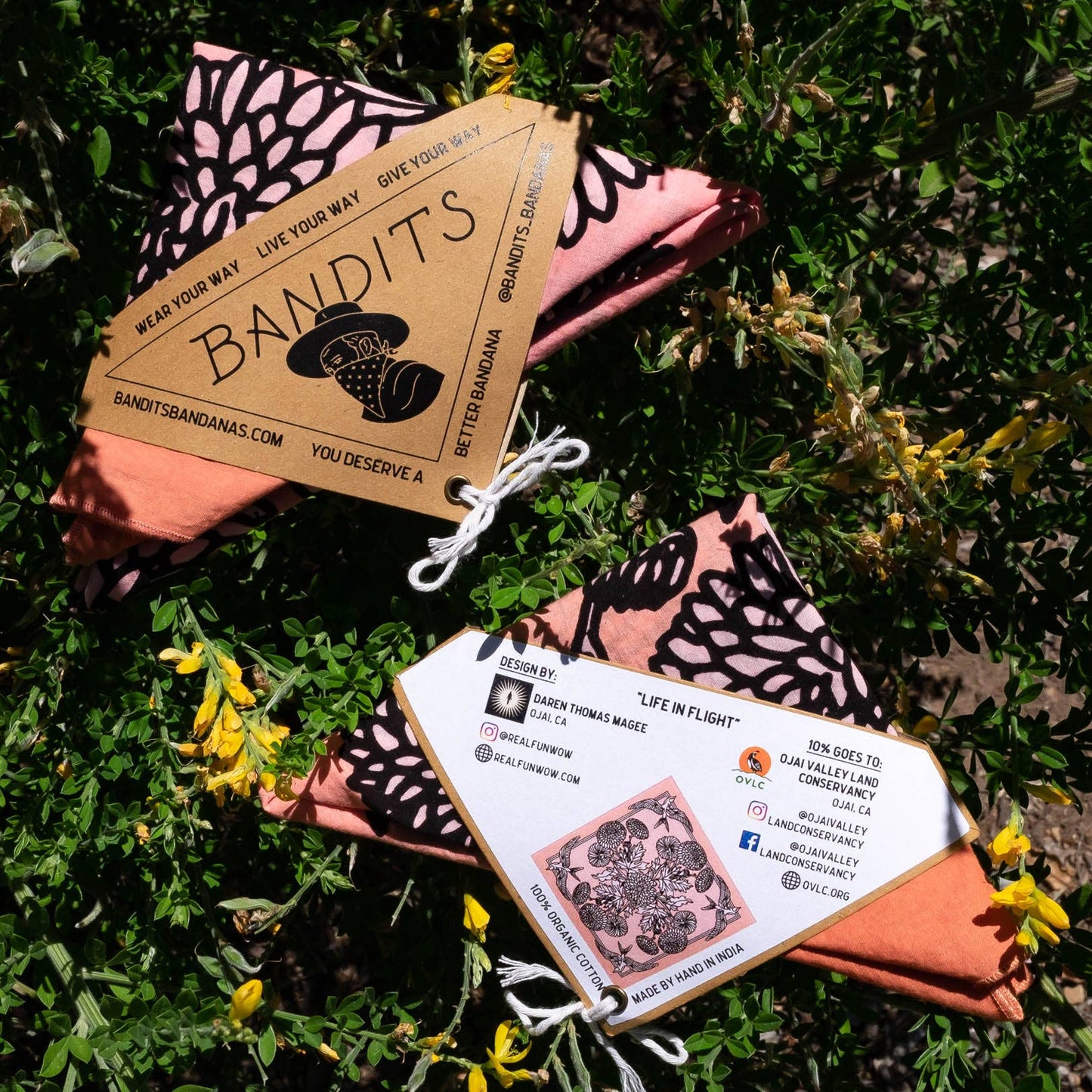 "Life In Flight" Bandana